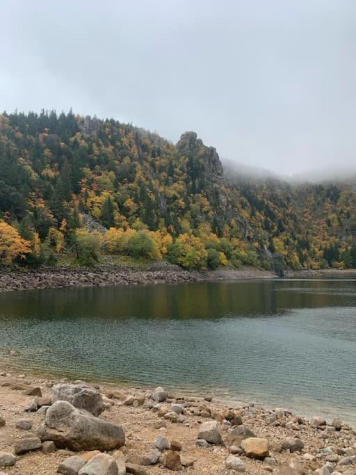 Le Belvedere Du Lac Blanc Orbey Ngoại thất bức ảnh